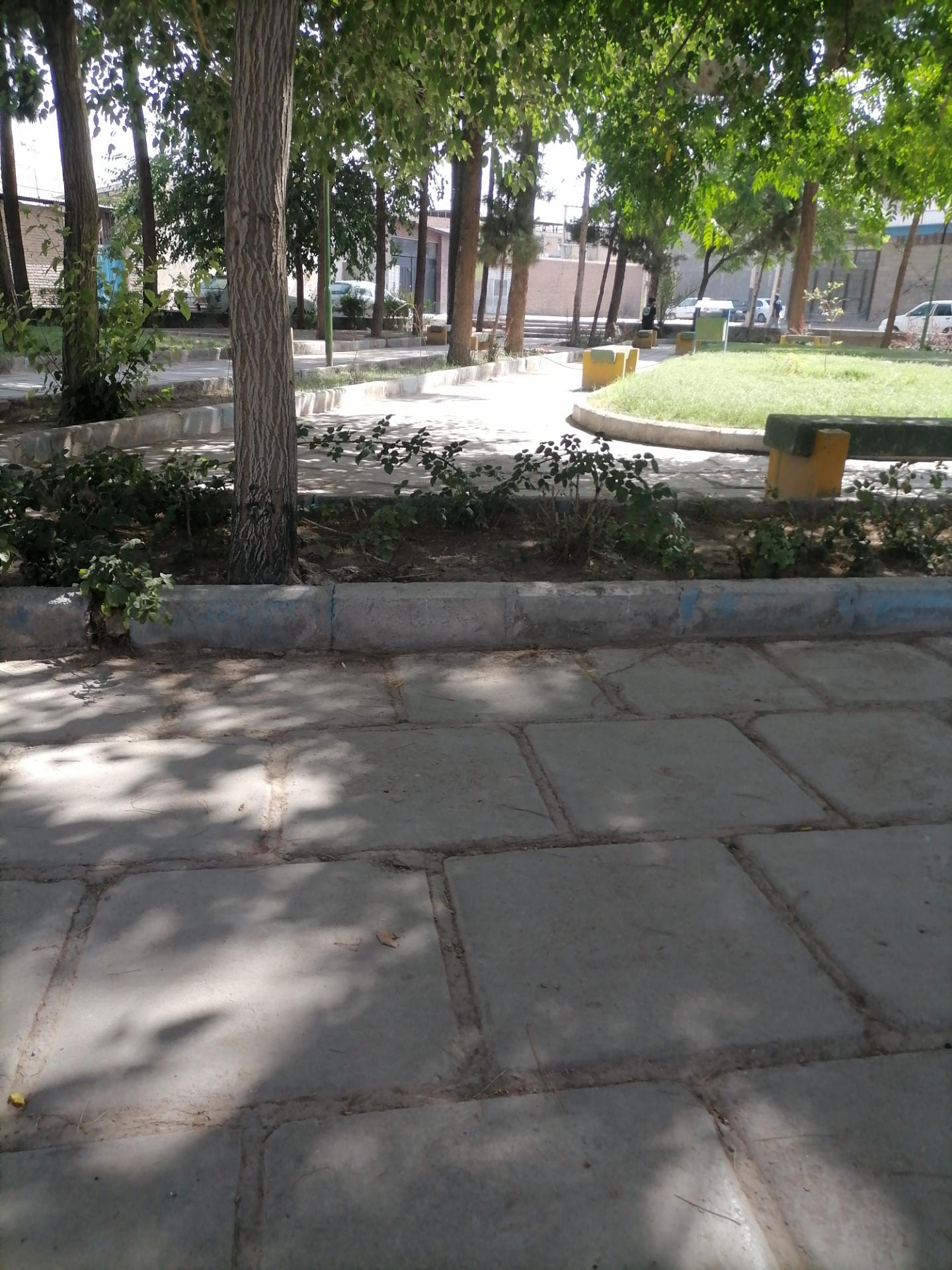 پارک سعید درویش زاده