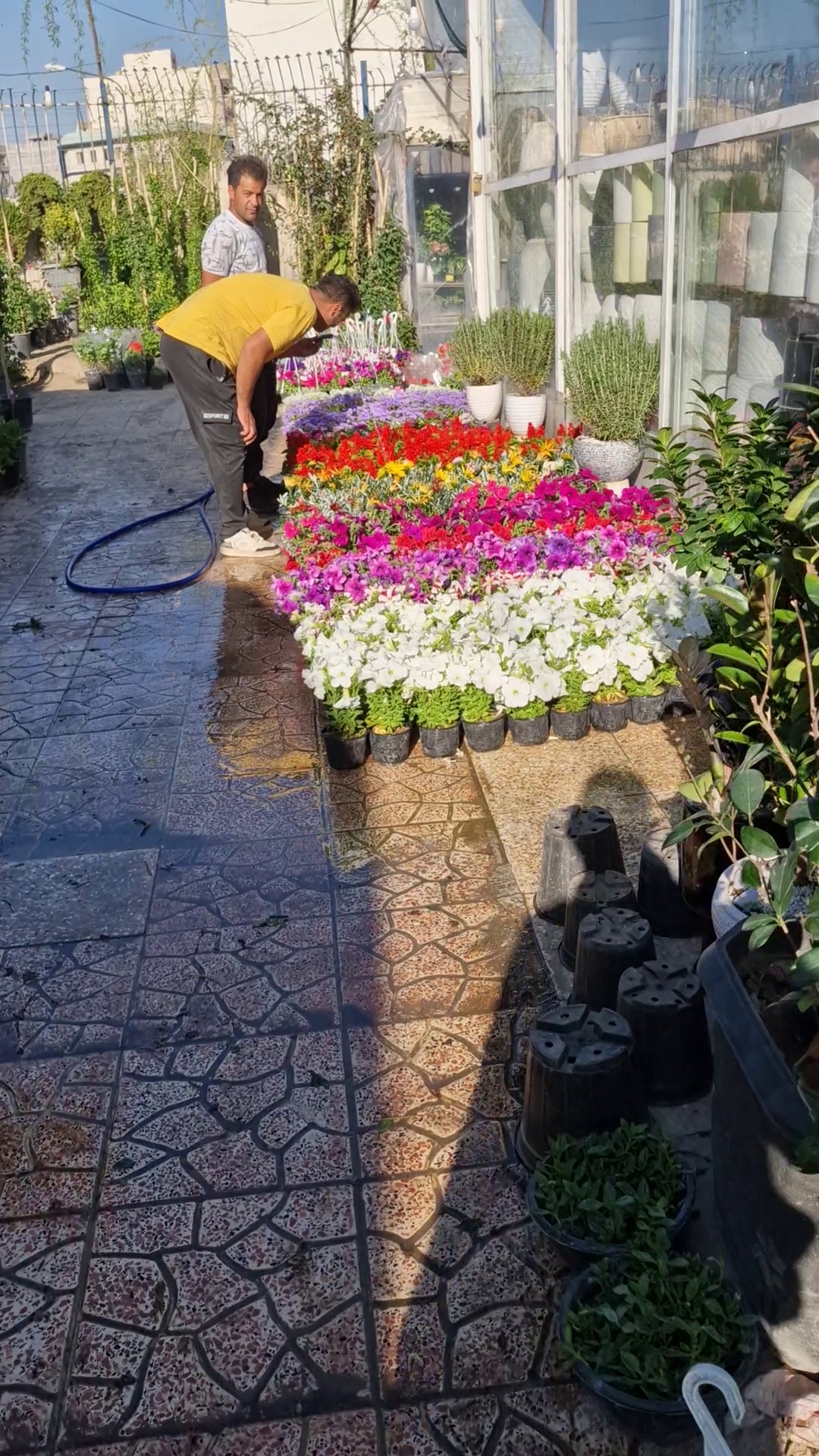 خدمات باغبانی گلکاری محمدی