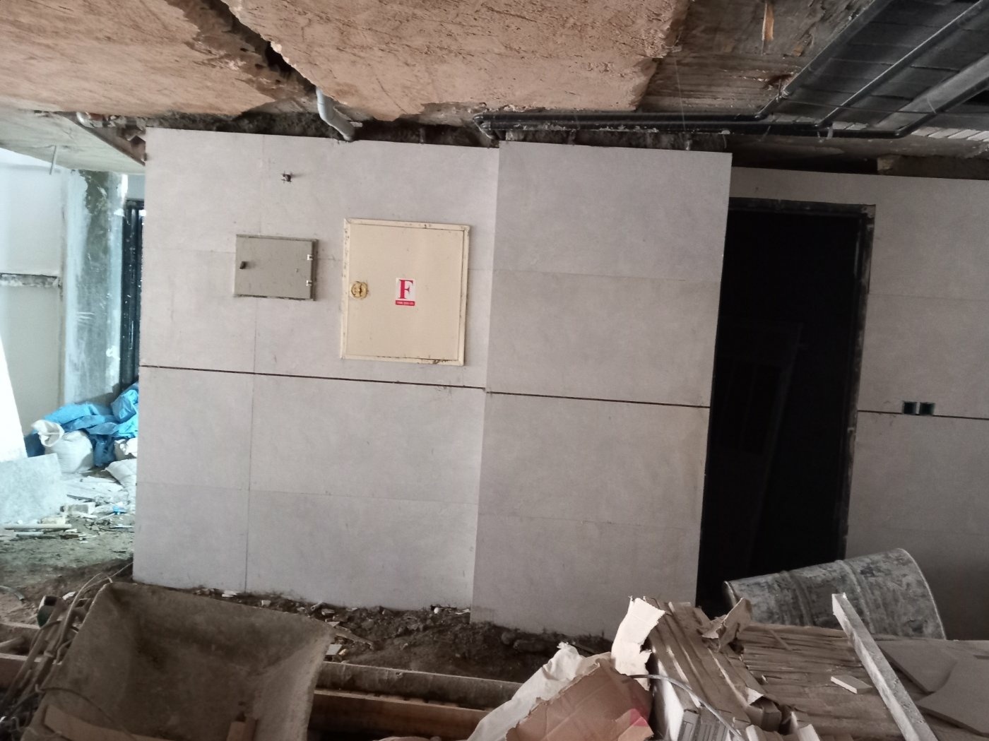 عباس محمودصالحی