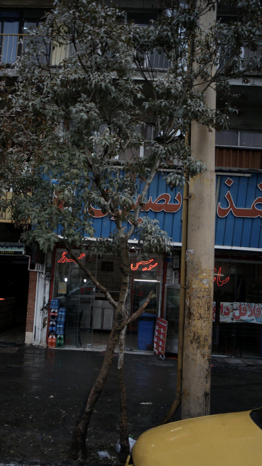 رستوران لاله