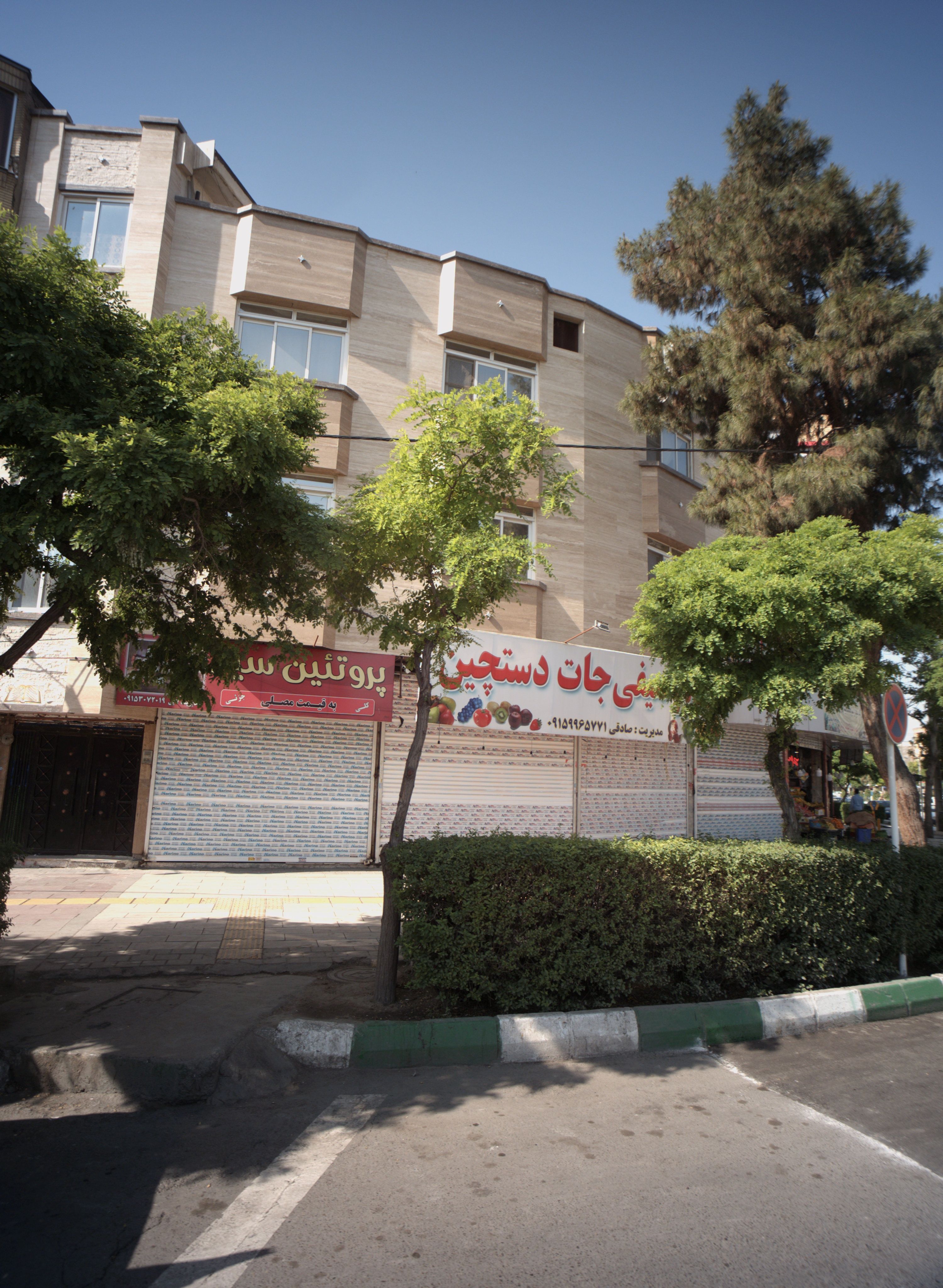 پروتئین سید