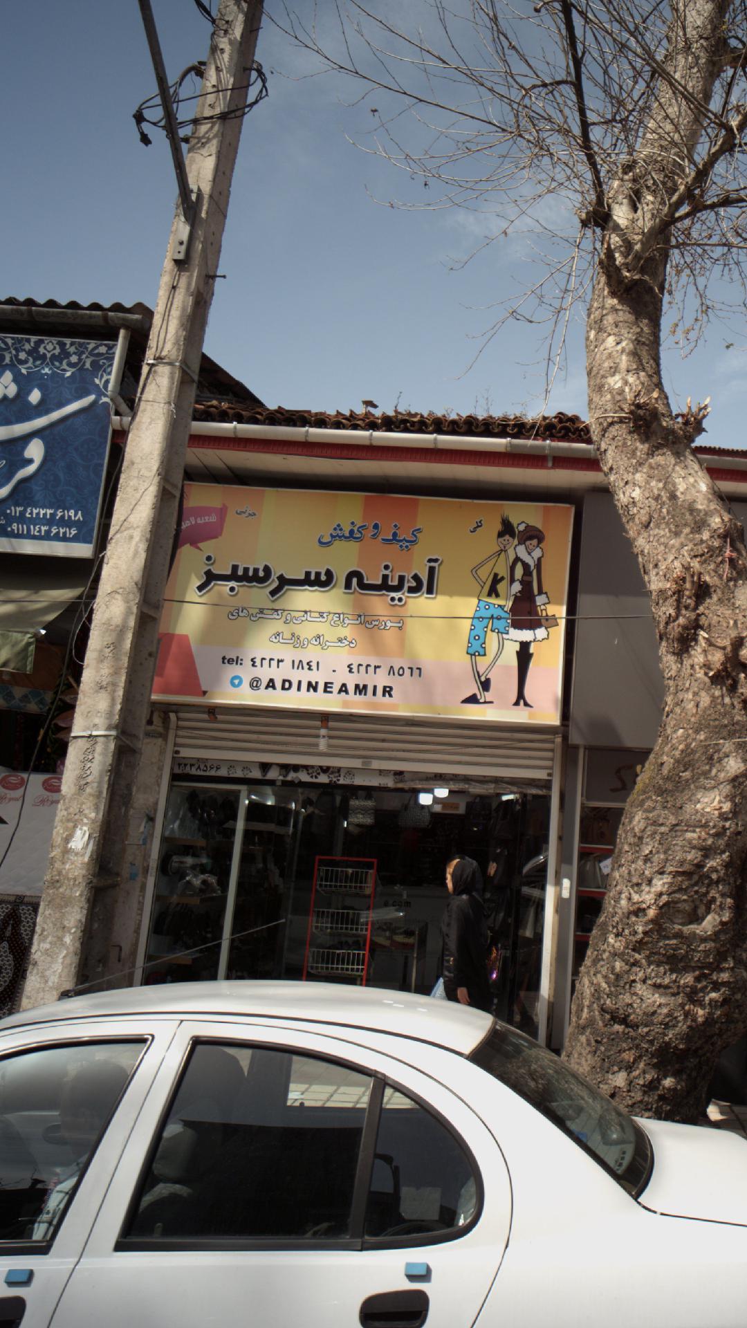 کیف و کفش آدینه سرسبز
