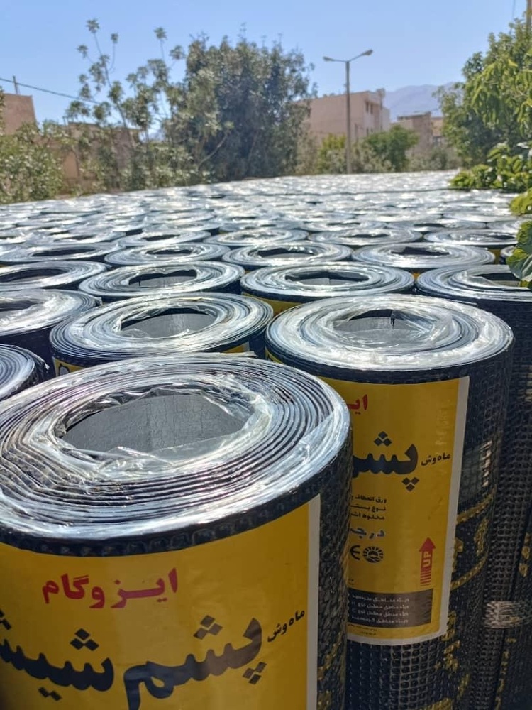 مهدی باقری