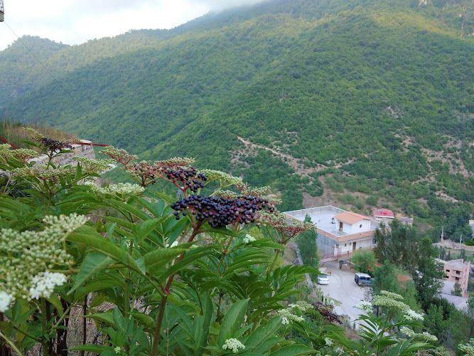 اسکان مسافرین زیارت