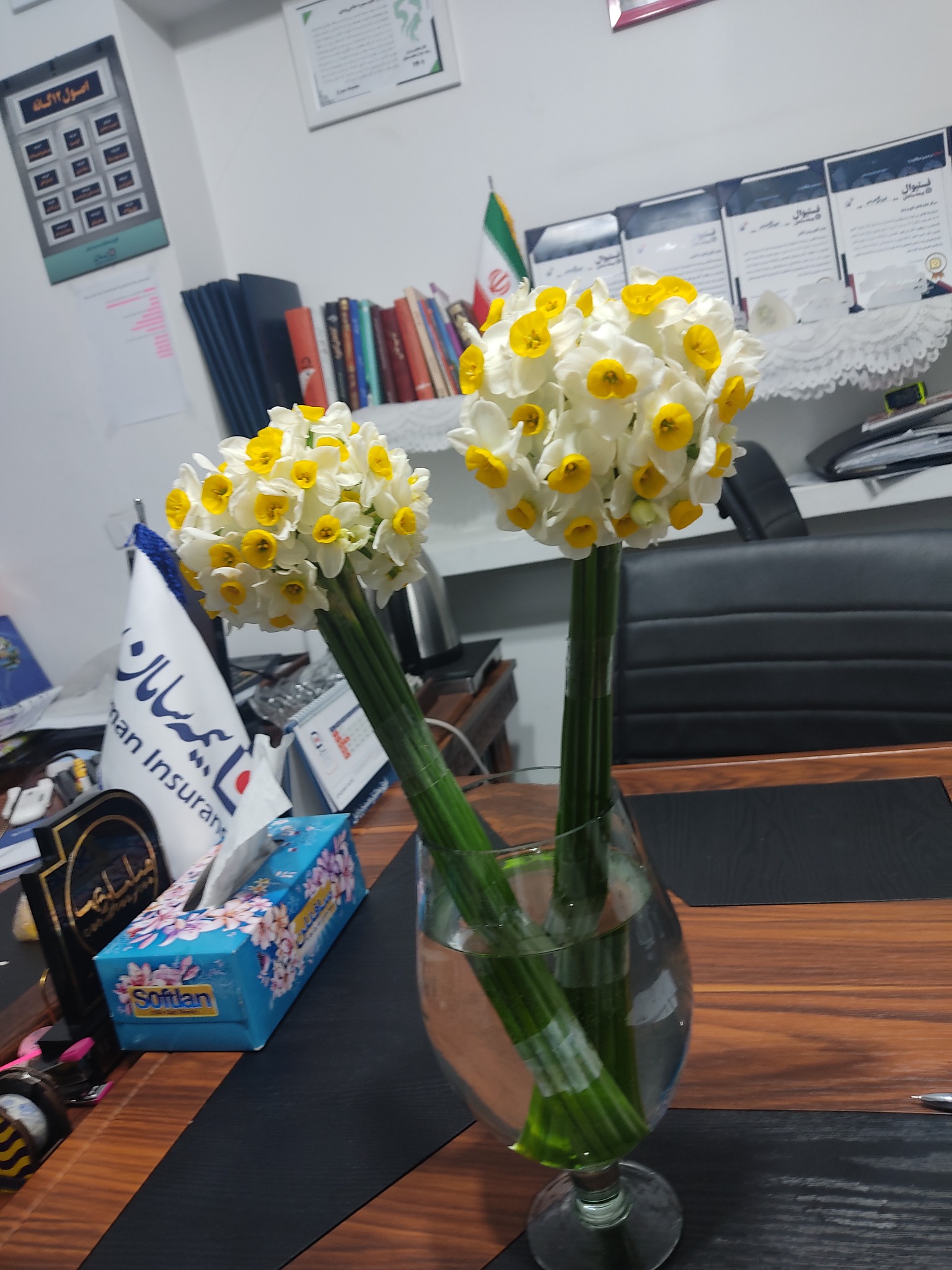 خانم یزدانی مشاور و کارشناس بیمه سامان