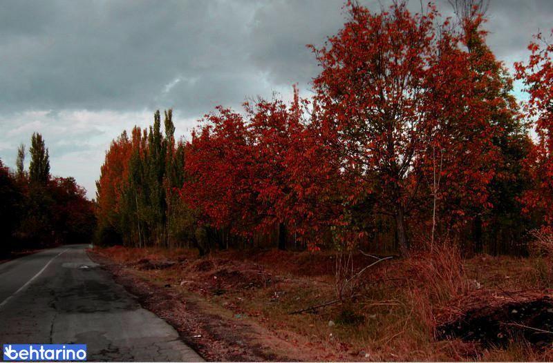 روستای یلفان