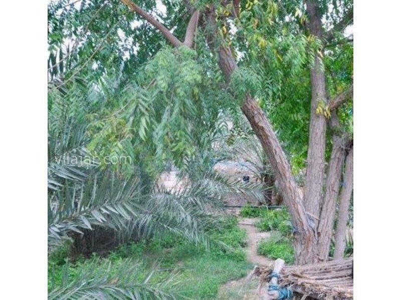اقامتگاه بومگردی باغ هنر