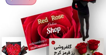 گلفروشی آنلاین Red Rose