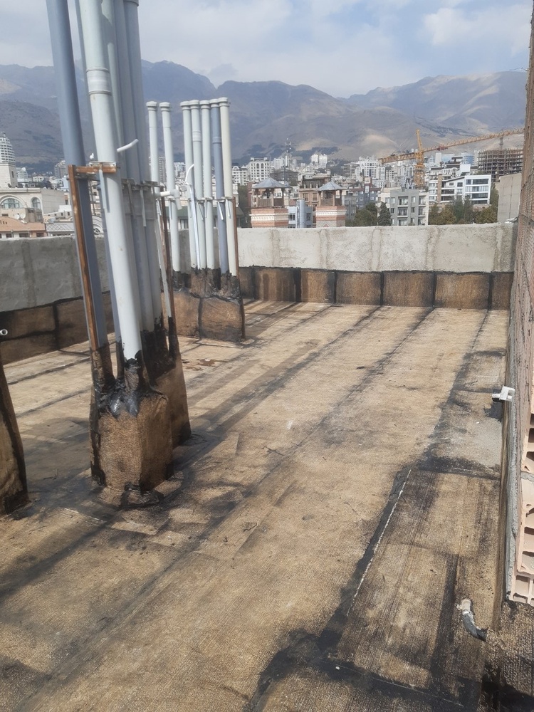 ناصر نقدی نژاد شایق