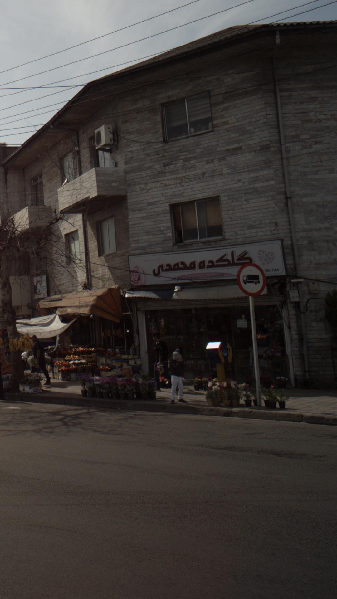 گلکده محمدی