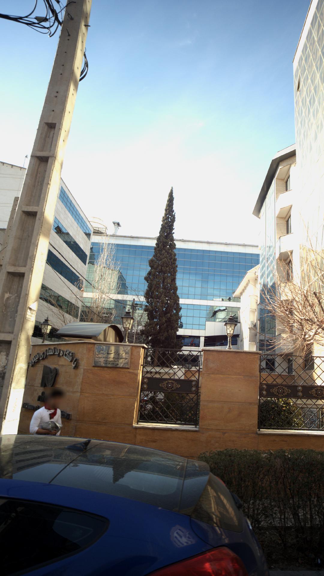 دکتر فرشاد برزنجی