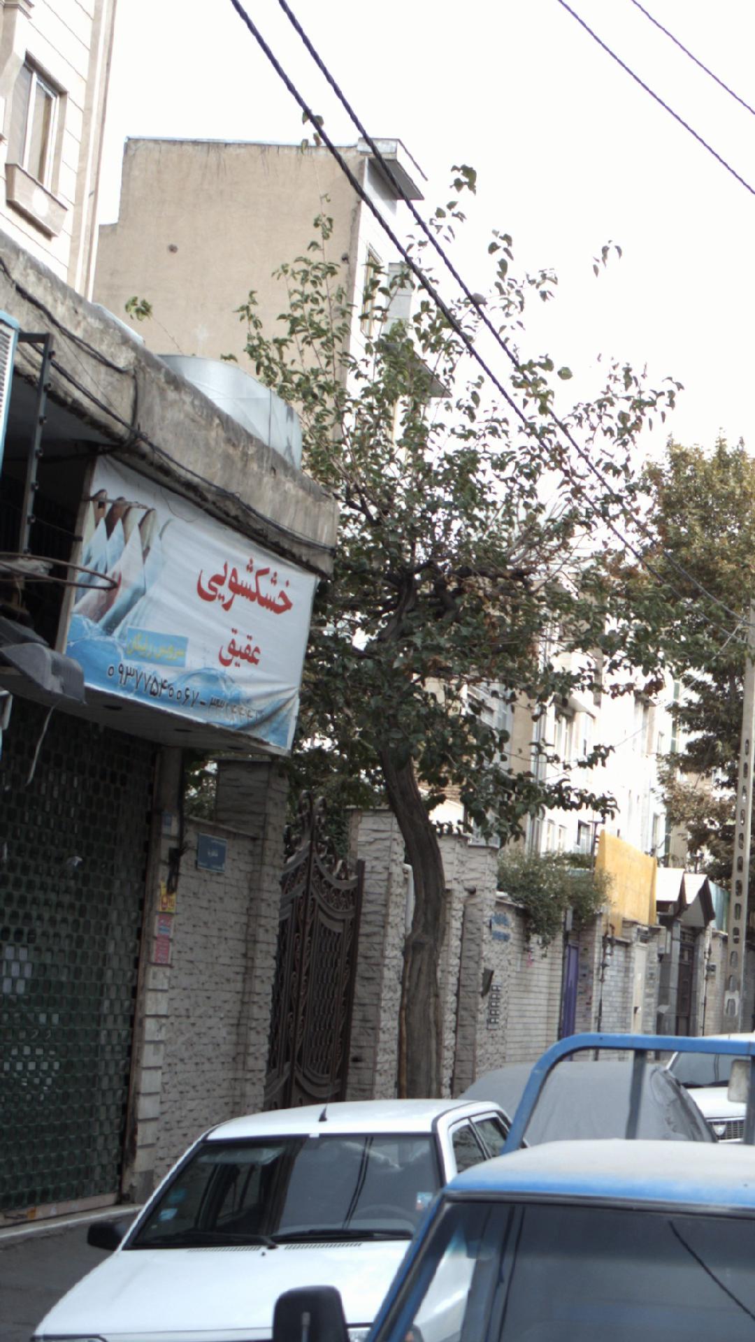 خشکشویی سعید اکسپرس