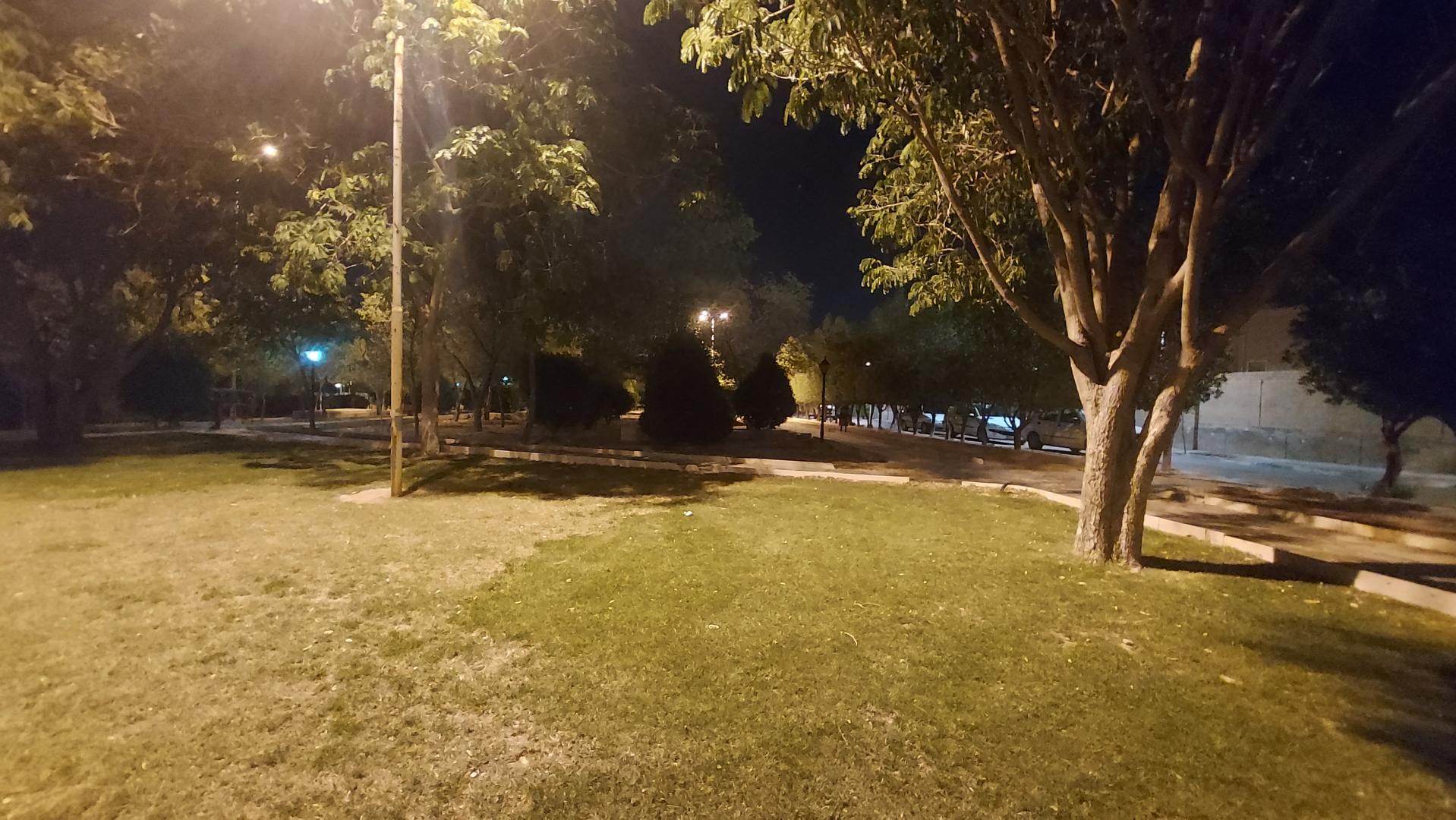 پارک لادن