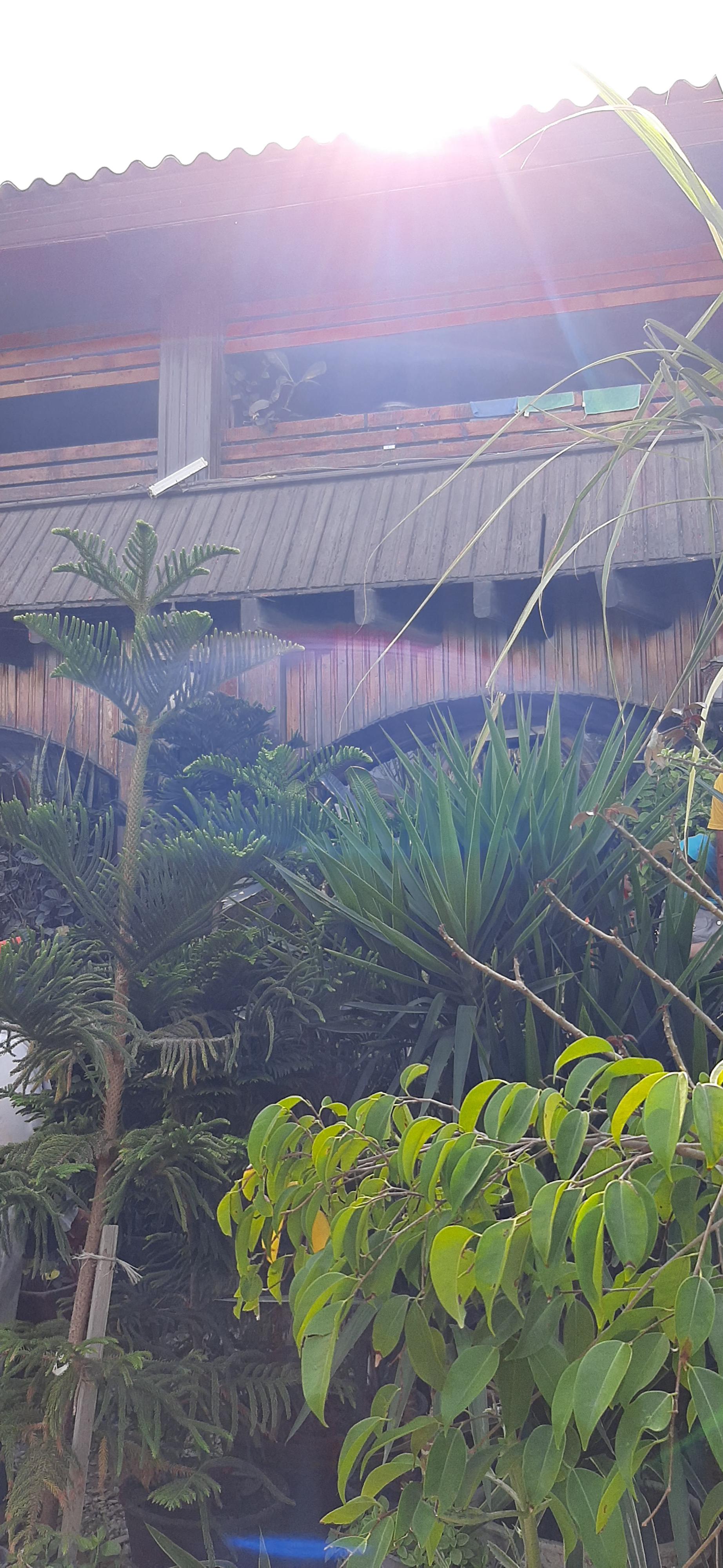 رستوران ساحلی خلیج