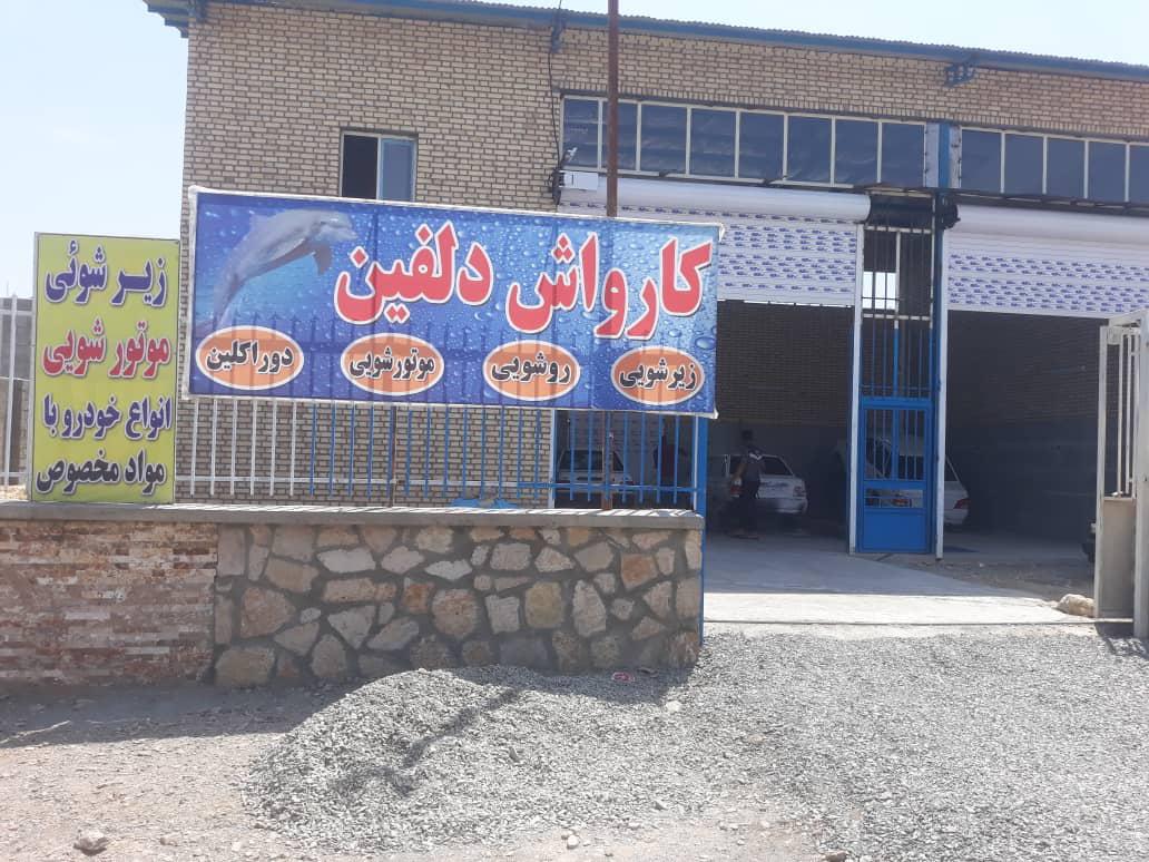 کارواش دلفین