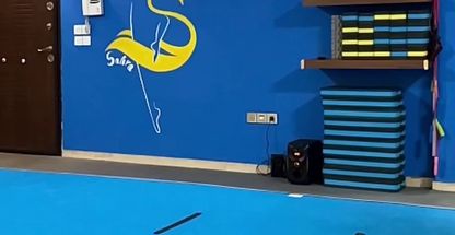 آکادمی ژیمناستیک صحرا