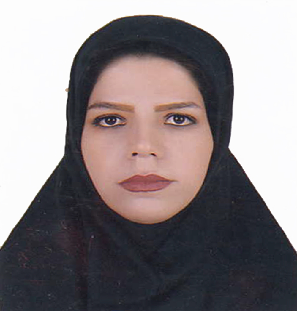 وکیل حمیرا ملکی