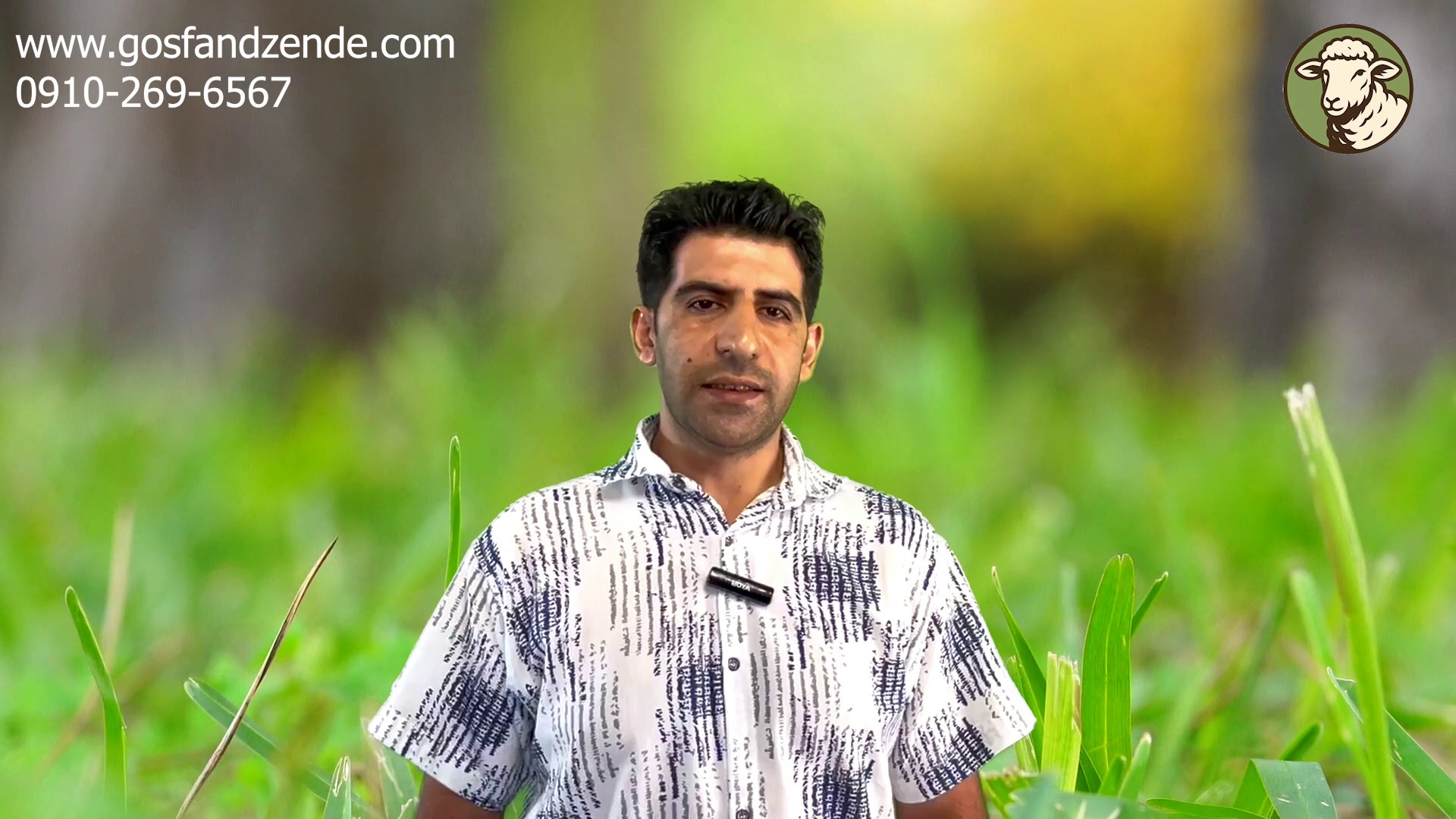 فروش گوسفند زنده شعاعی