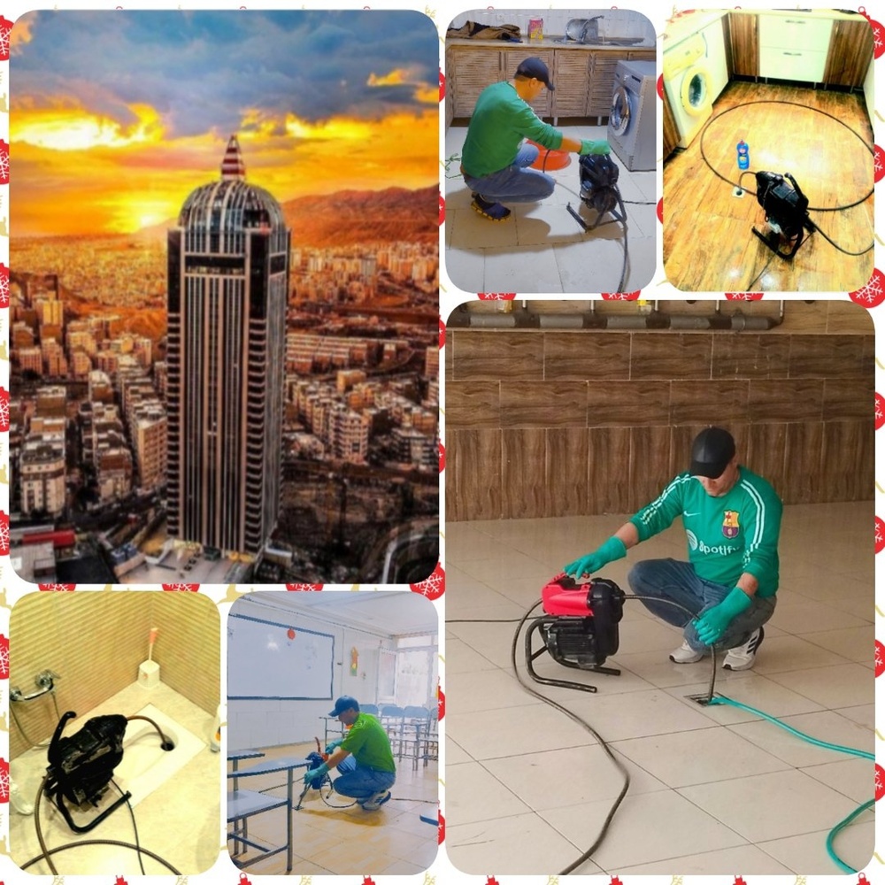 مرتضی علی محمدی