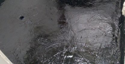 فریدون سلیمانی دمقی