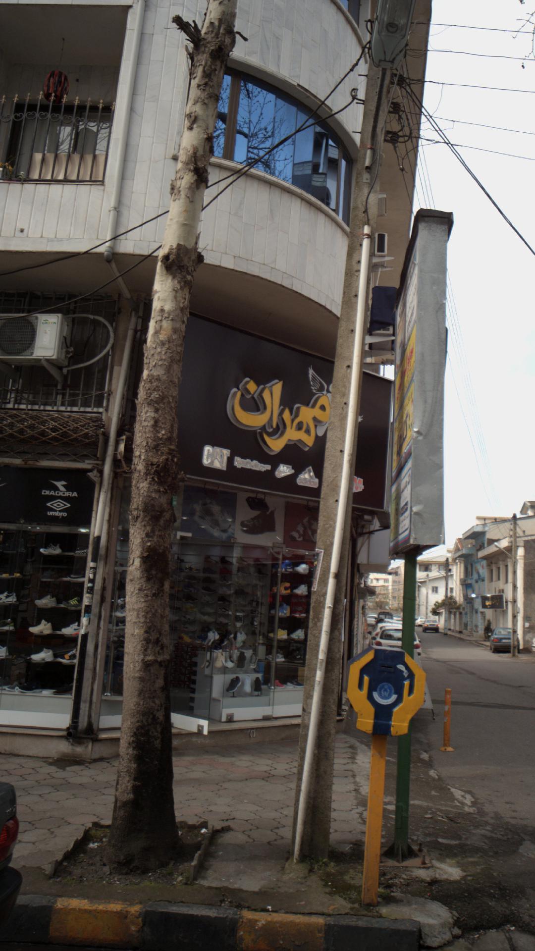 کفش مهران 