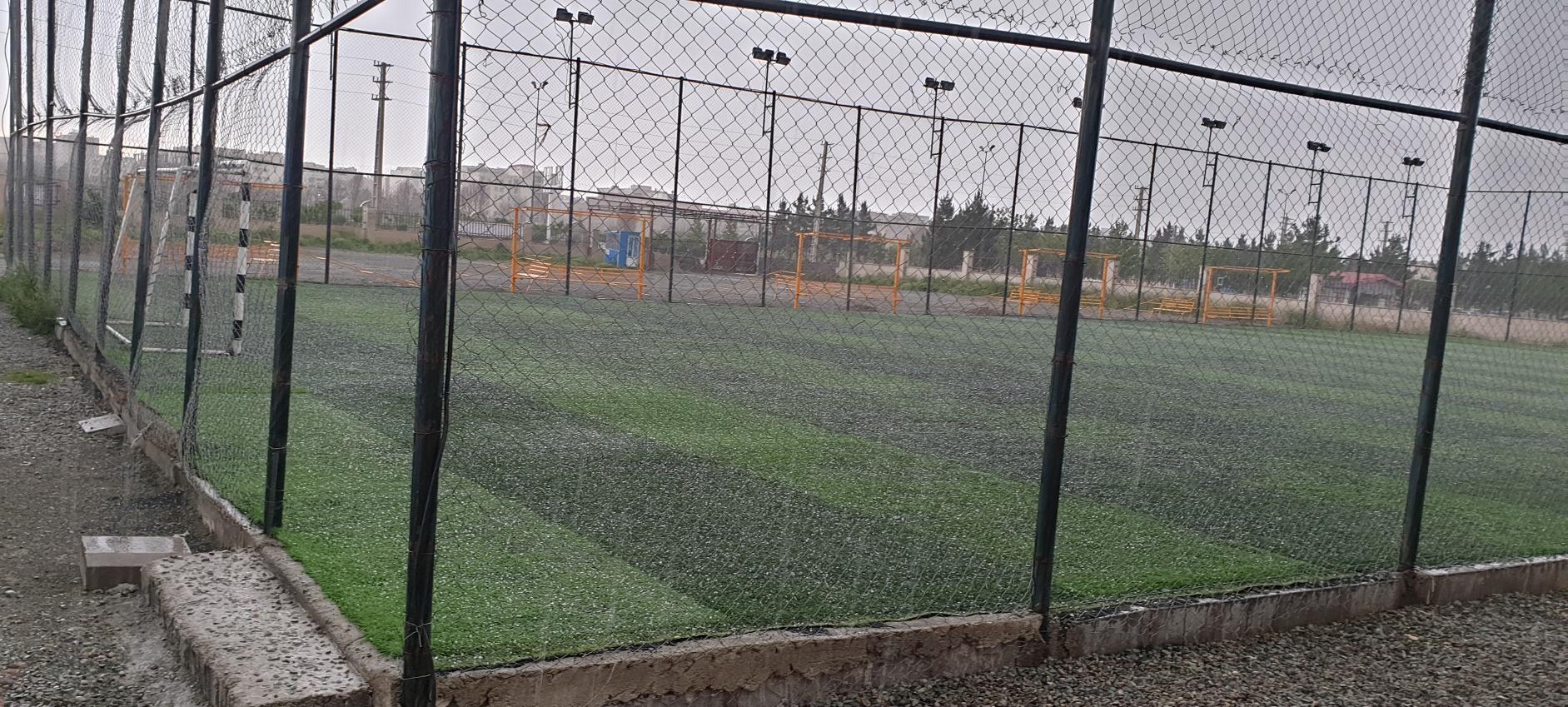 زمین چمن ثامن