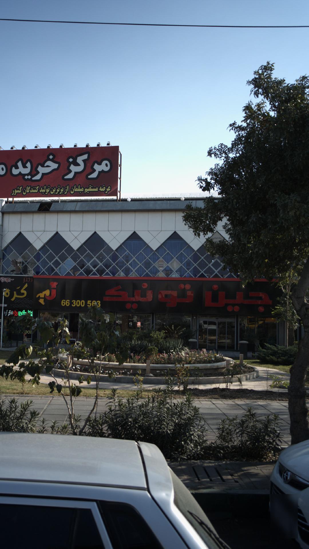 جین تونیک