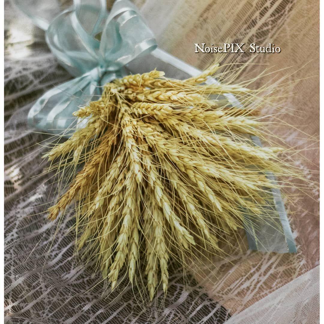 تعمیرگاه و نمایندگی باتری پاکدل