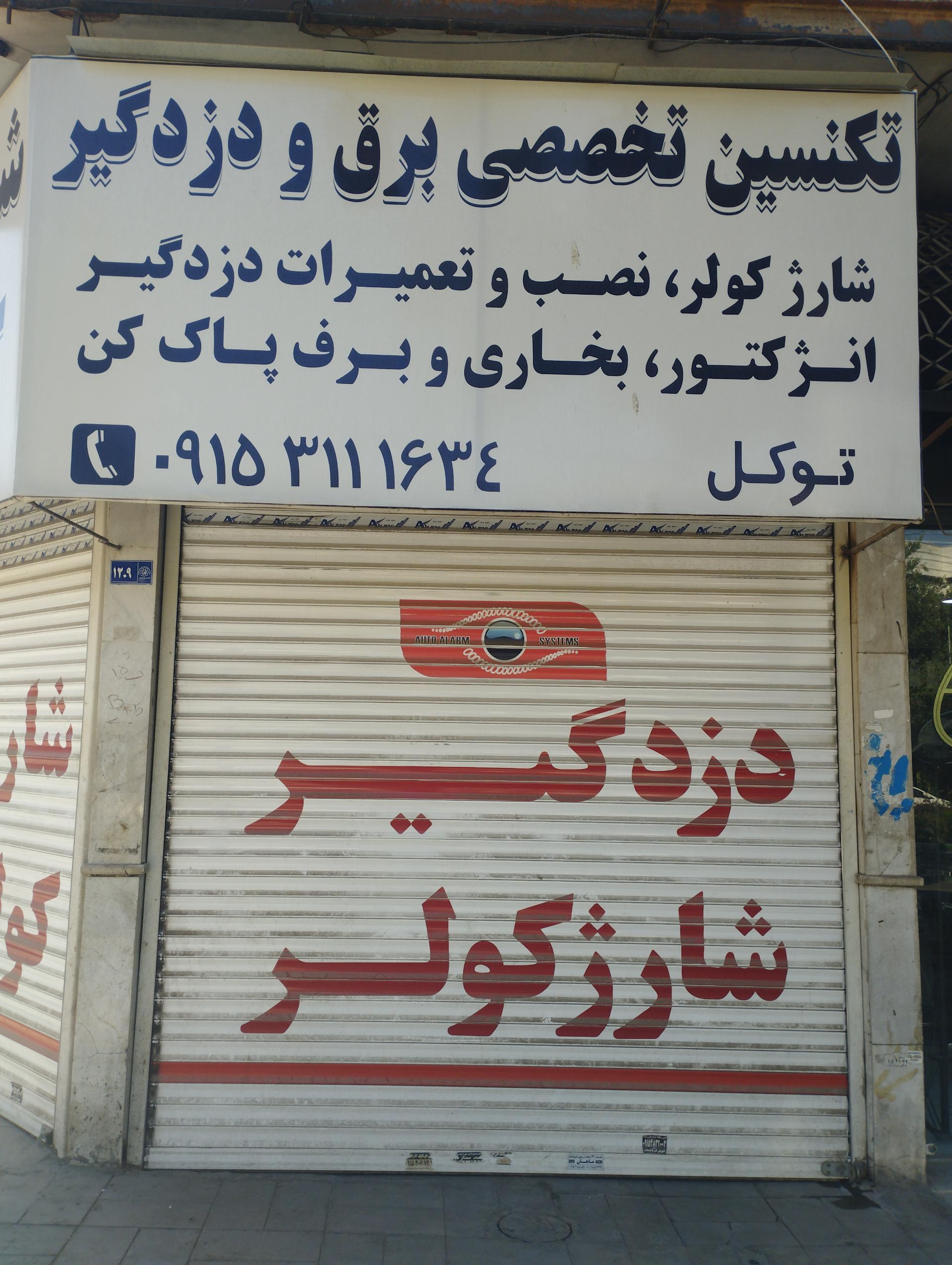 تکنسین برق و دزدگیر