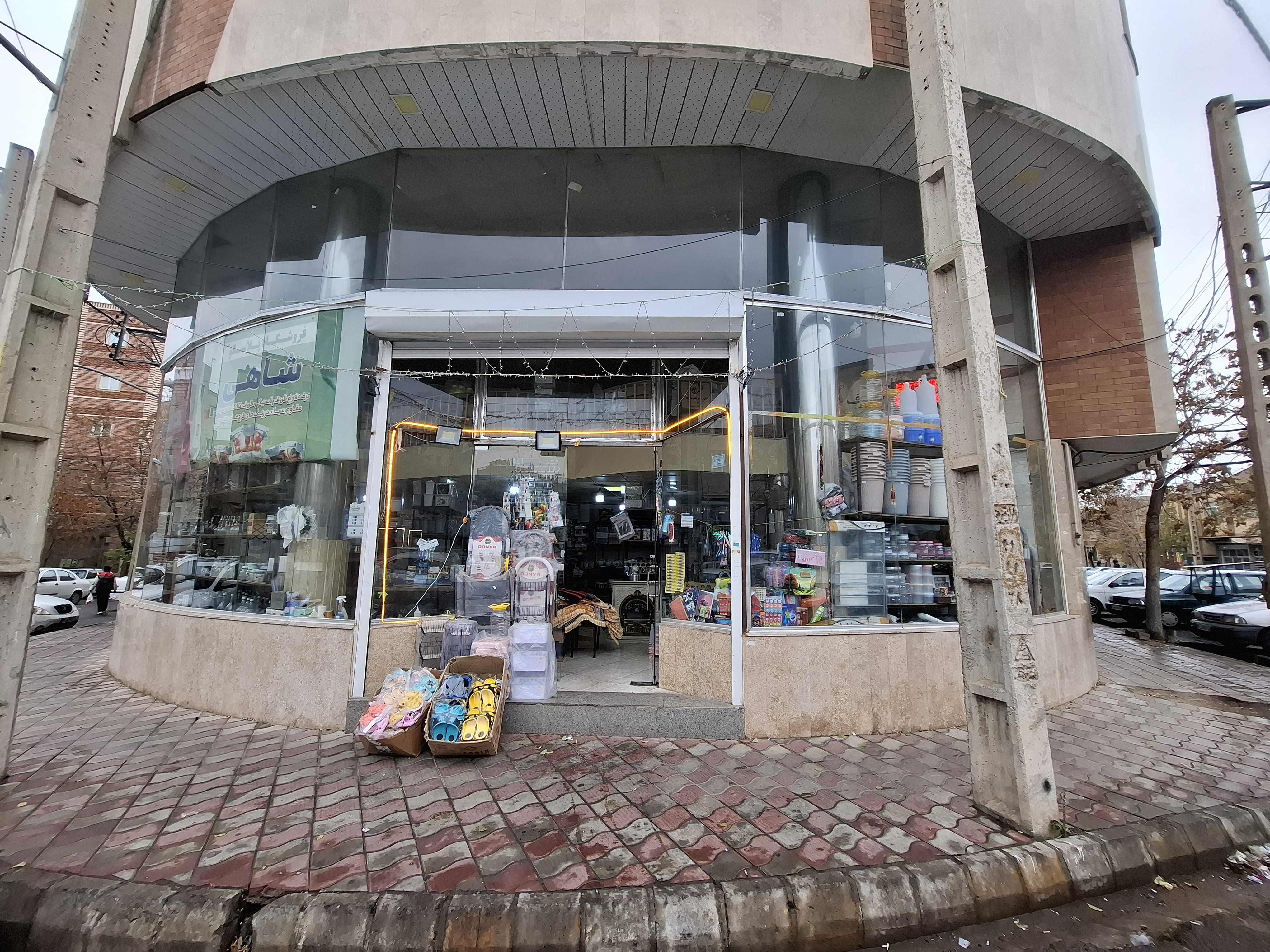 پلاسکو شاهی