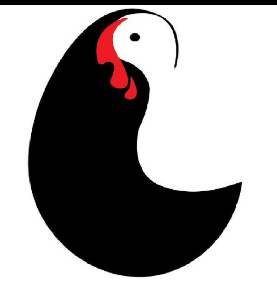 زنجیره بوقلمون زرین گستر پرتیکان