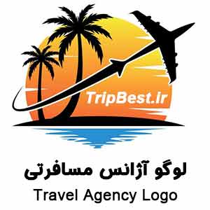 شاهین گشت نصف جهان