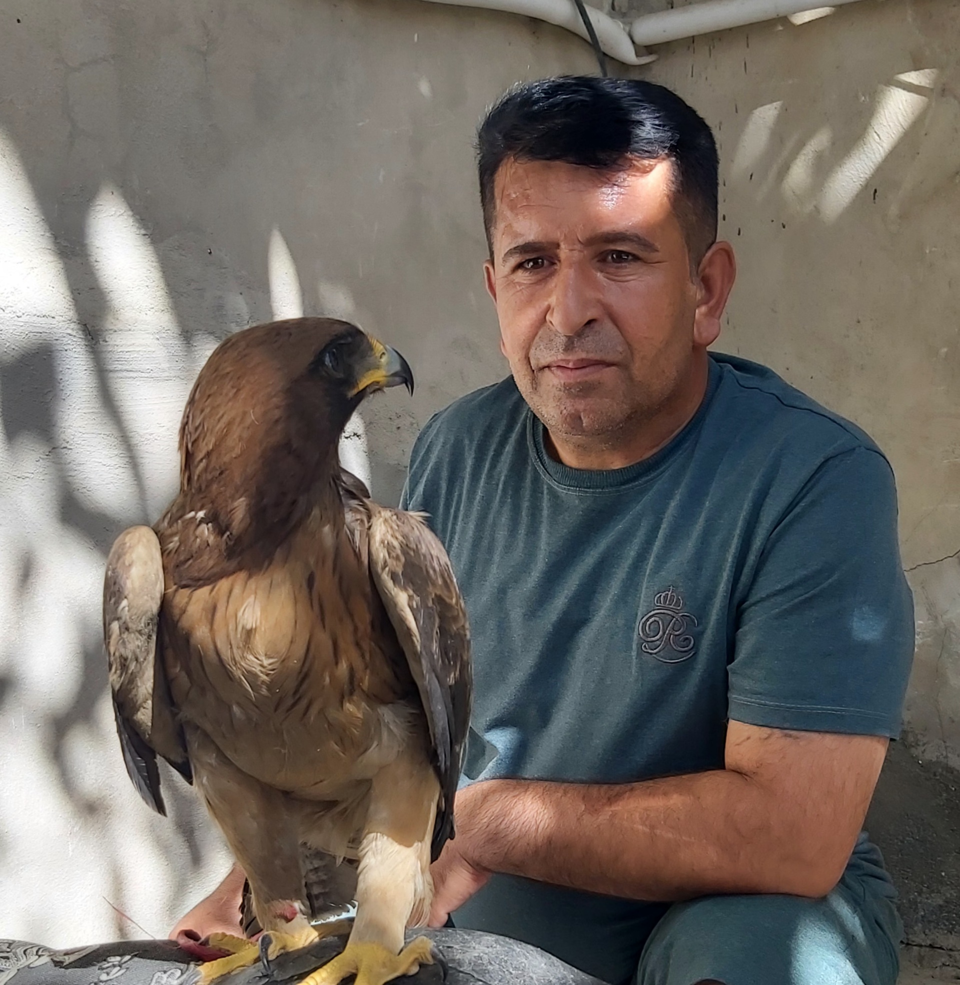 امدادگر حیات وحش وحیوانات