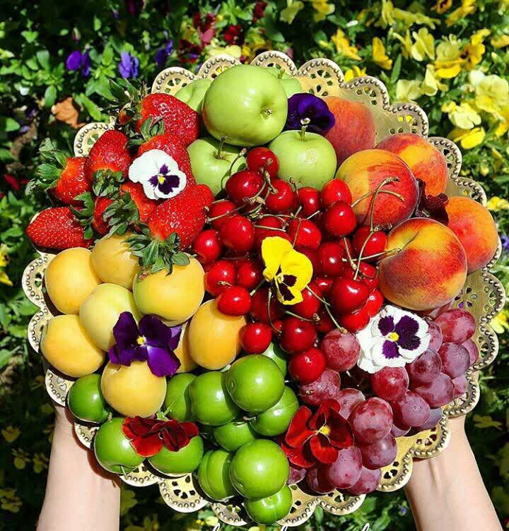 فروش زعفران اصل Shida Gold Saffron