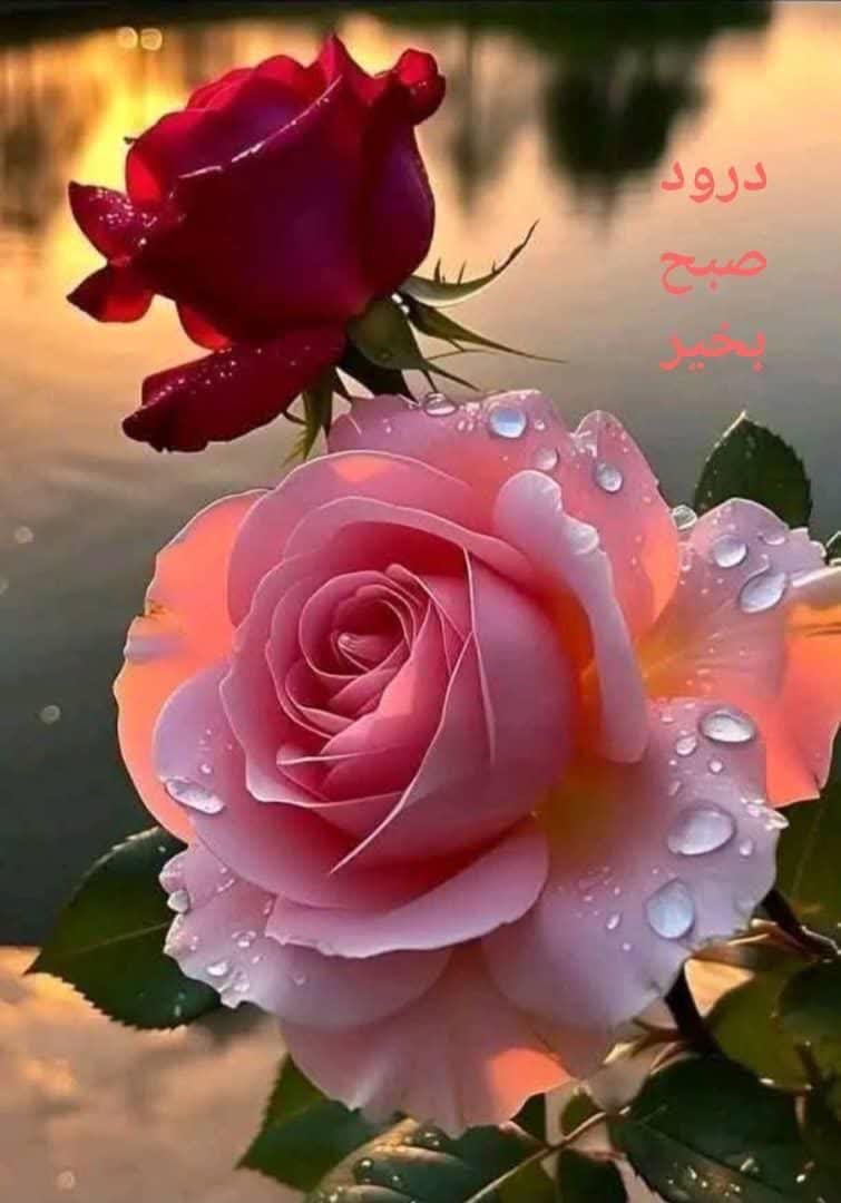 مشاور املاک تدبیر