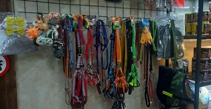 پت شاپ و لوازم حیوانات خانگی شاه نظری