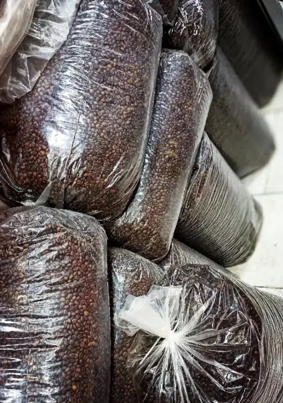 پخش قهوه کلاسیک مرشدی