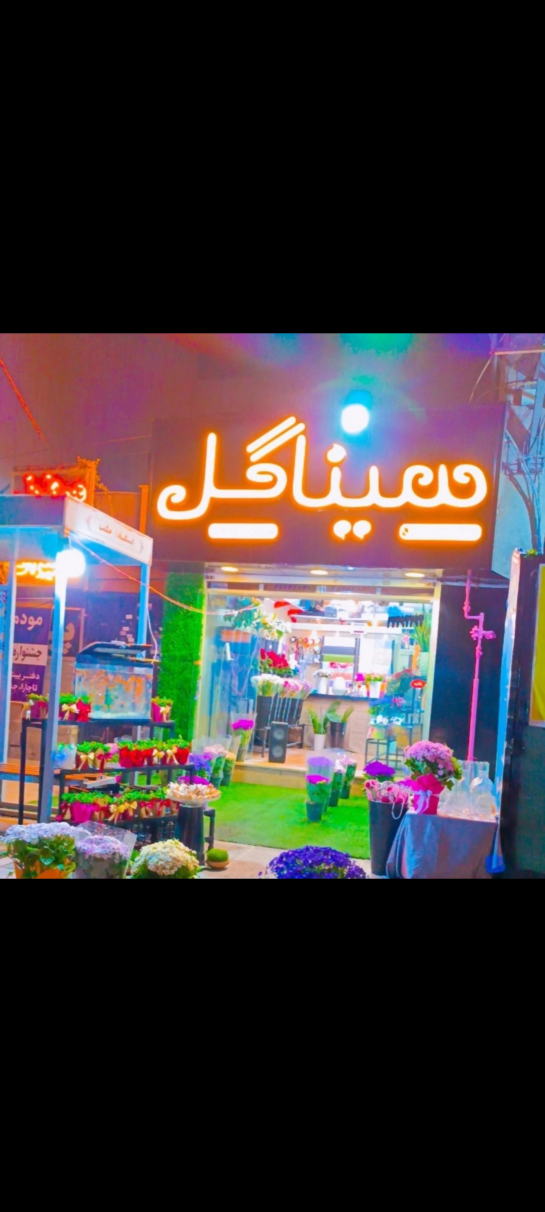 سینا گل شعبه 2فرهنگ شهر