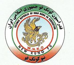 مربیگری کونگ فو