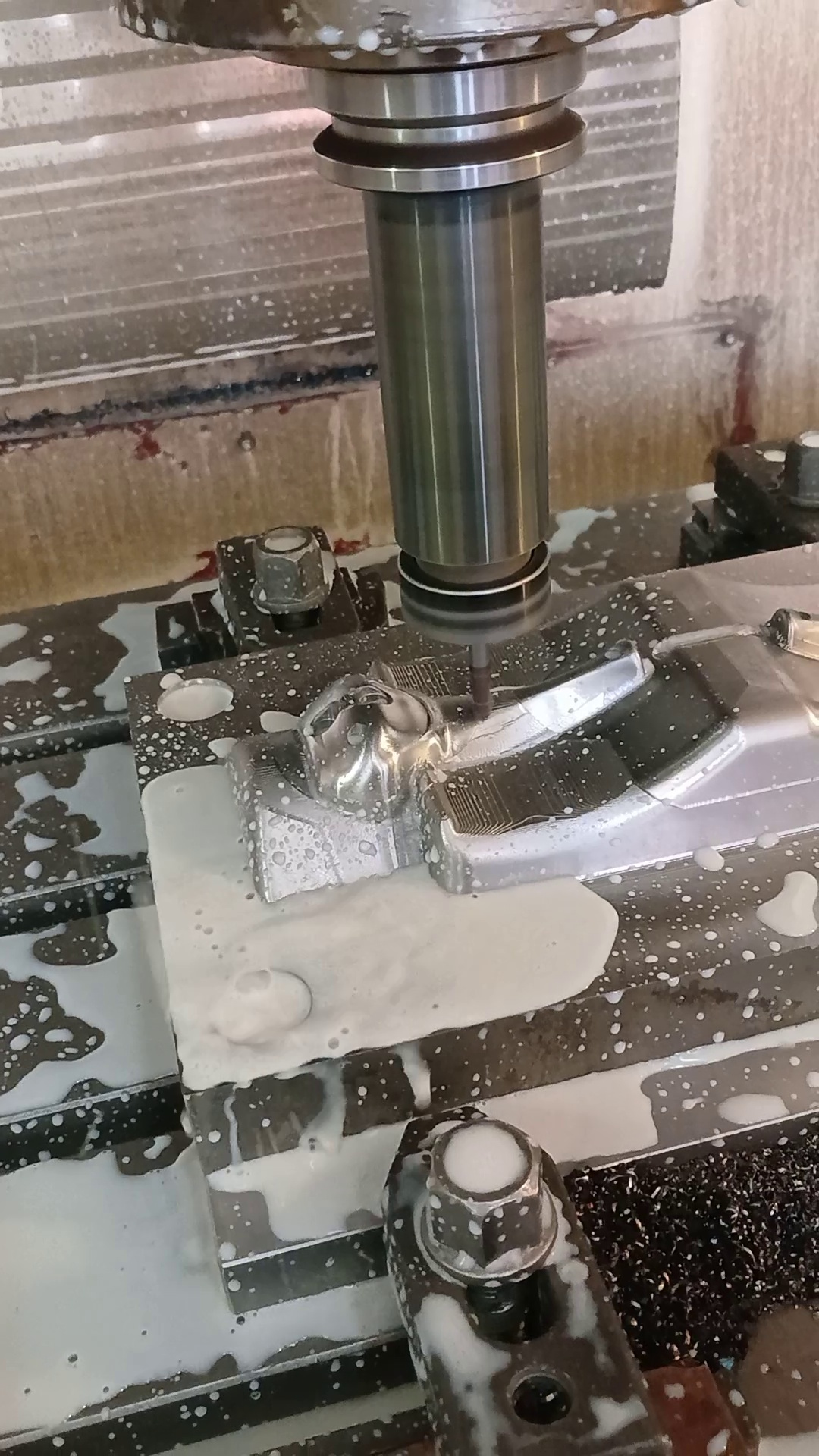 قالبسازی مصطفی امین رعیا