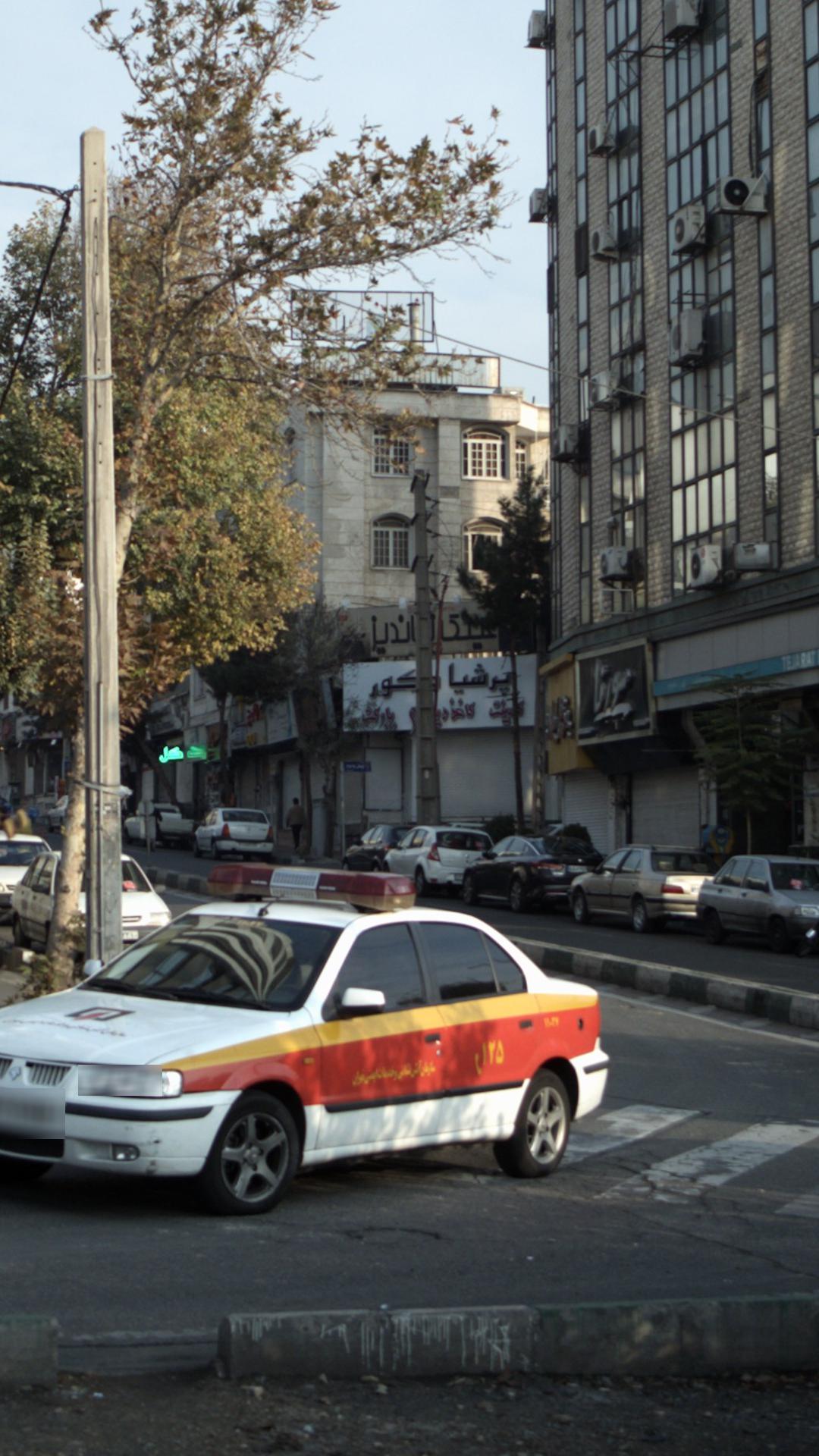 چوب پلاست سای بام