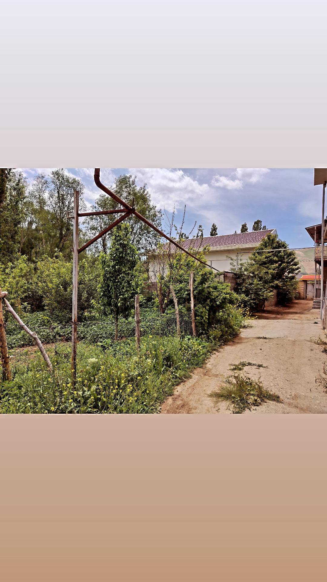 سوییت ویلای حامد