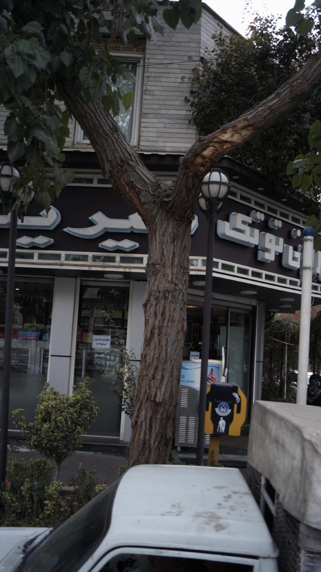 شیرینی الفبا