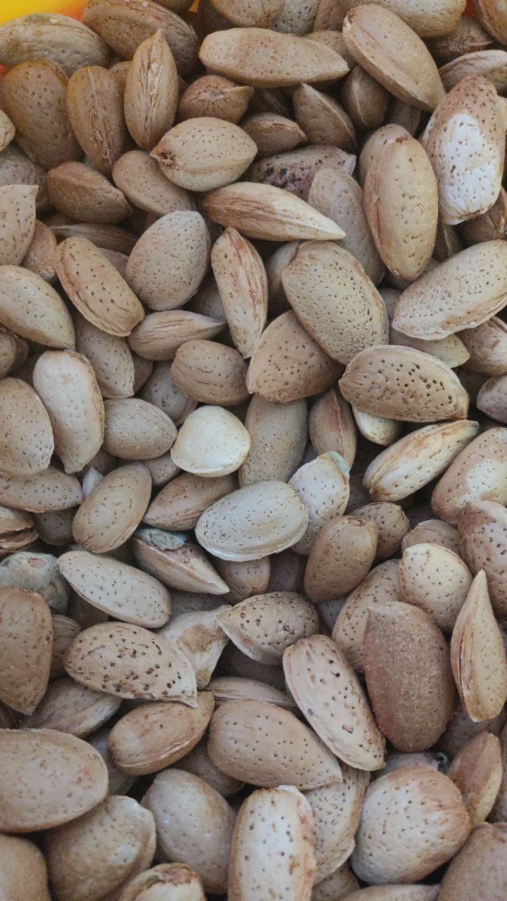 عطاری رضا ترکاشوند
