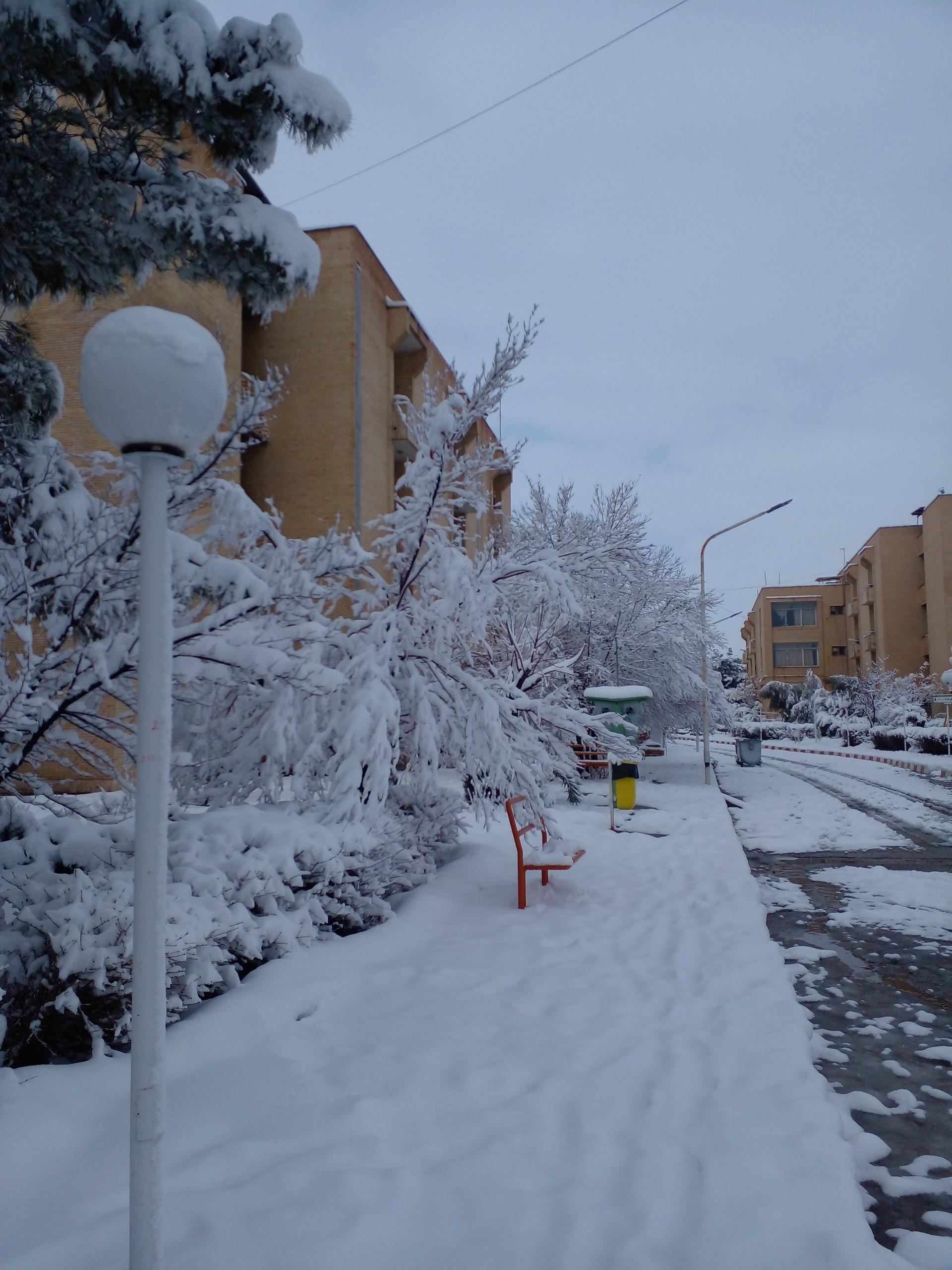 خوابگاه هاشمیان