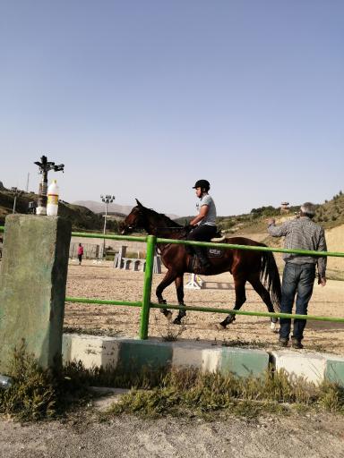 مجموعه سوارکاری کوثر