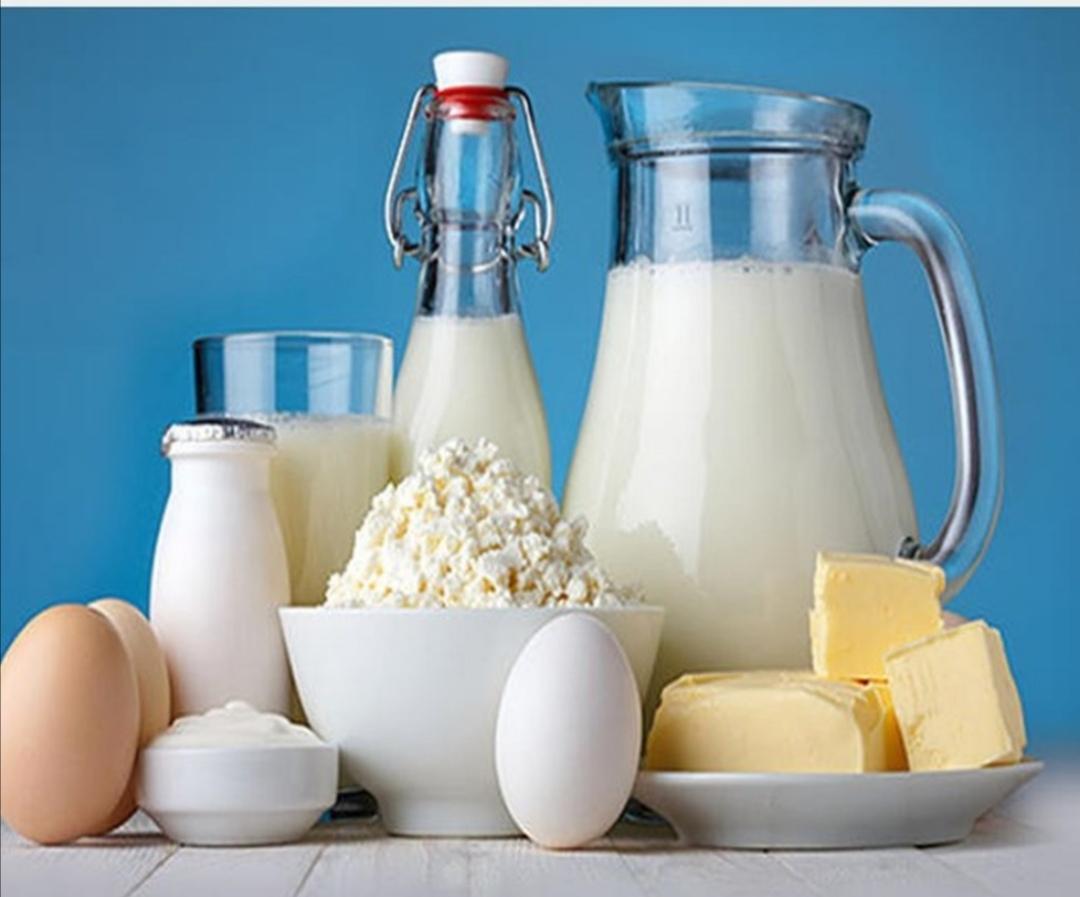 لبنیات تاتلی