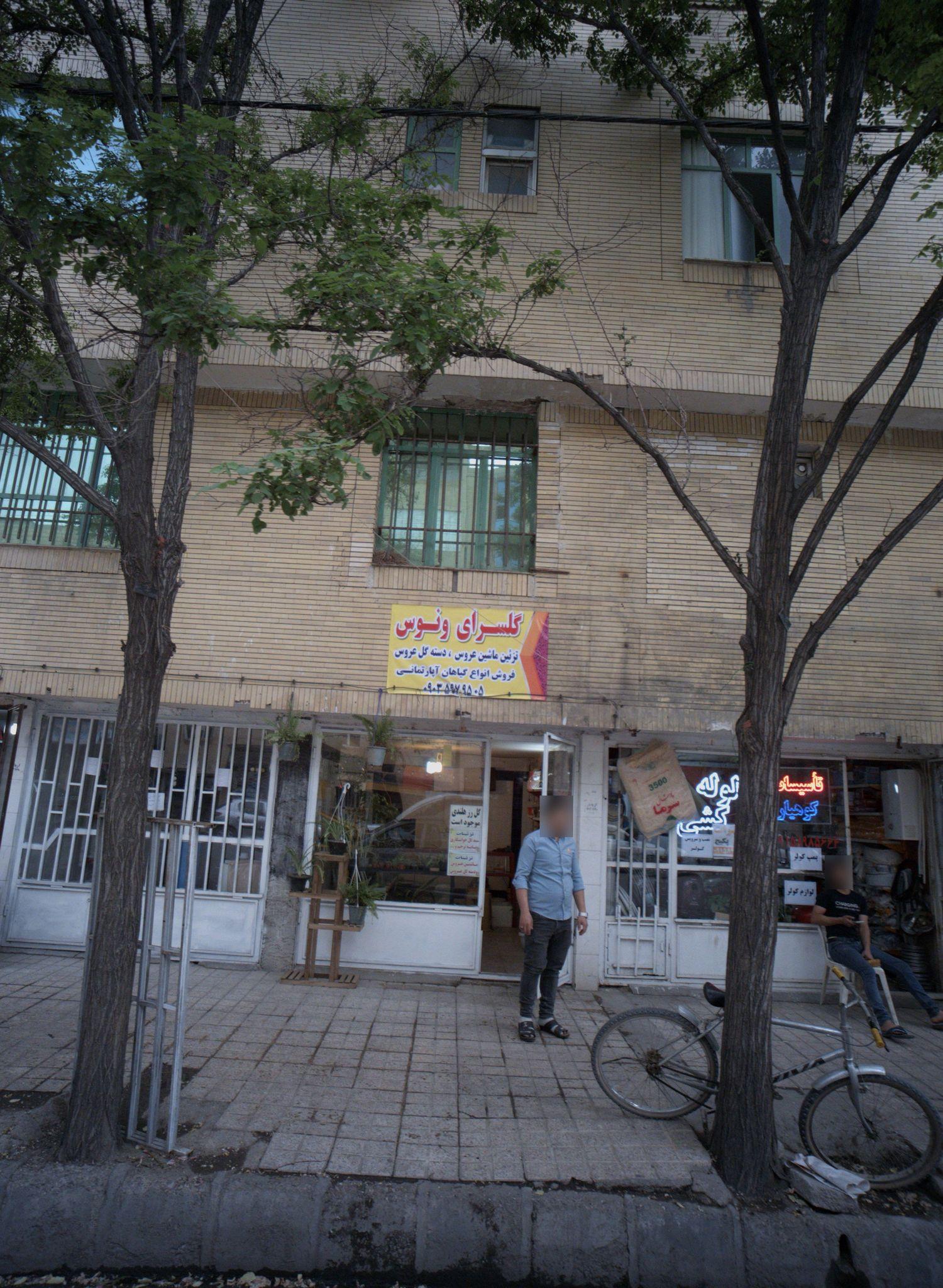 گلسرای ونوس