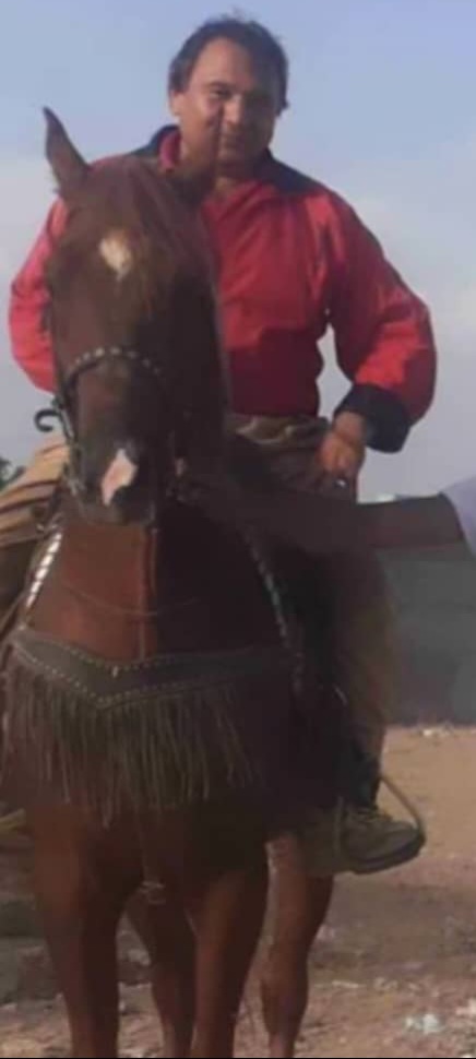 مجموعه پرورش اسب پهلوان علی موسوی