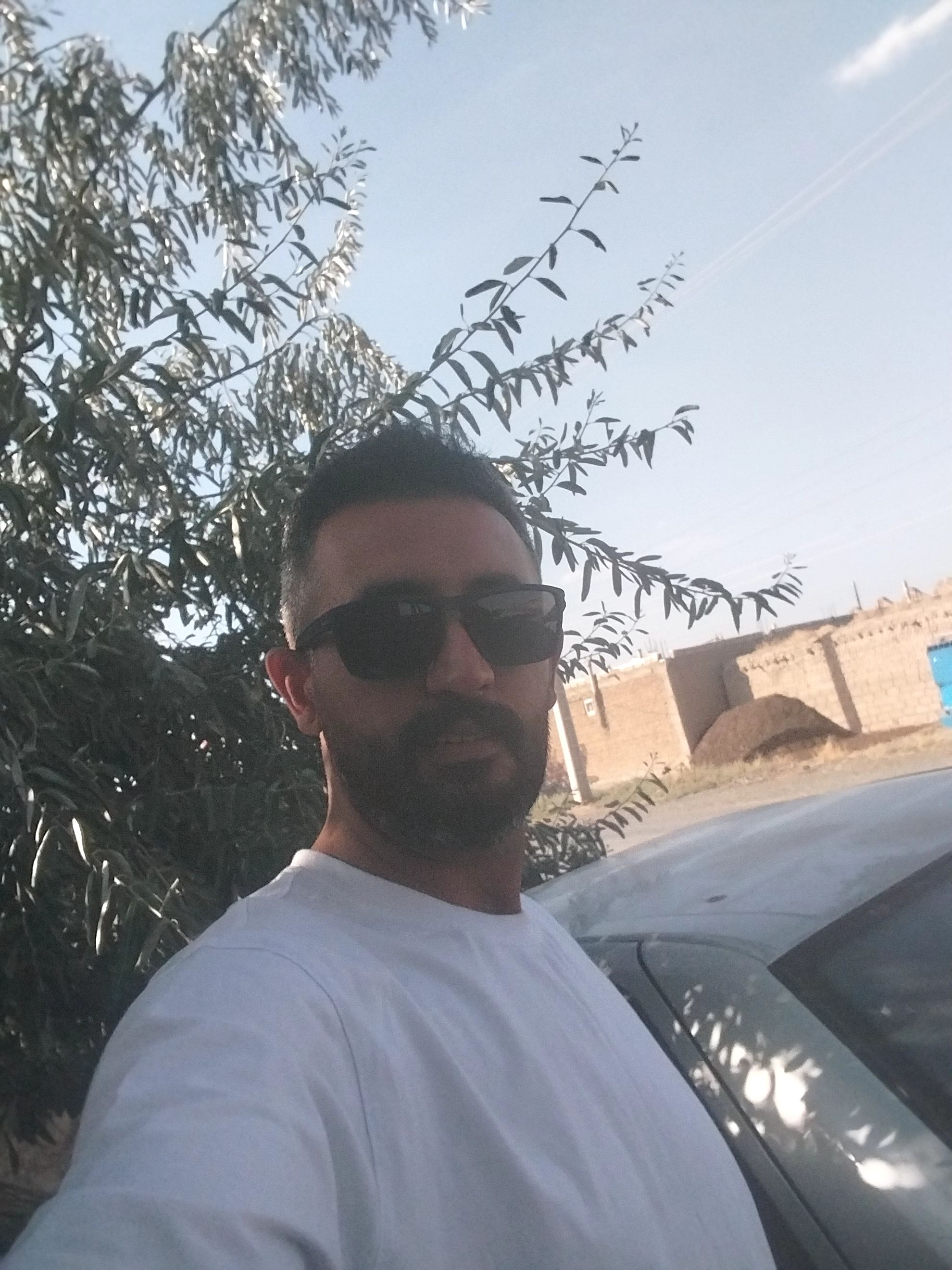 پیمانکار یونجه